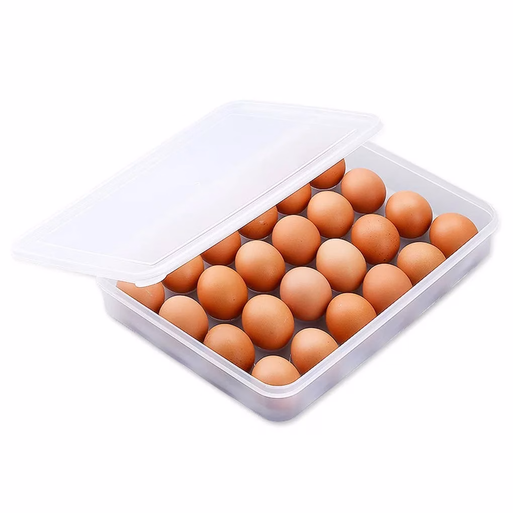 51iTeu-cDVL-jpg.avif Shopkwik Plastic Egg Storage Box Single Layer 24 Grids with Lid Egg Basket Tray Useful for Home, Kitchen & Poultry (Multicolor) (1Pcs) - Image 1