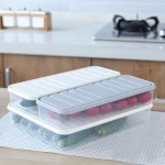 Shopkwik Plastic Storage Containers with Lid, Fridge Storage Boxes Keeps Dry Fruits, Vegetables, Meat, Fish Fresh Longer Fridge Organizer, Set of 3 (1 pcs 2500 ML, 2 pcs 1200 ML)