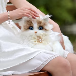 Realistic Cat Backpack Plush Cute Bag - Unisex - Image 6