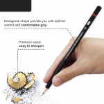 12Pcs Sketch Pencils for Drawing & Shading – Graphite Art Set - Image 4