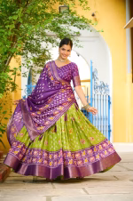 Heavy Lichi Silk Lehenga Choli with Jacquard Border - Parrot - Image 2
